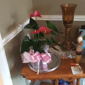 Meet your Posher, Gary